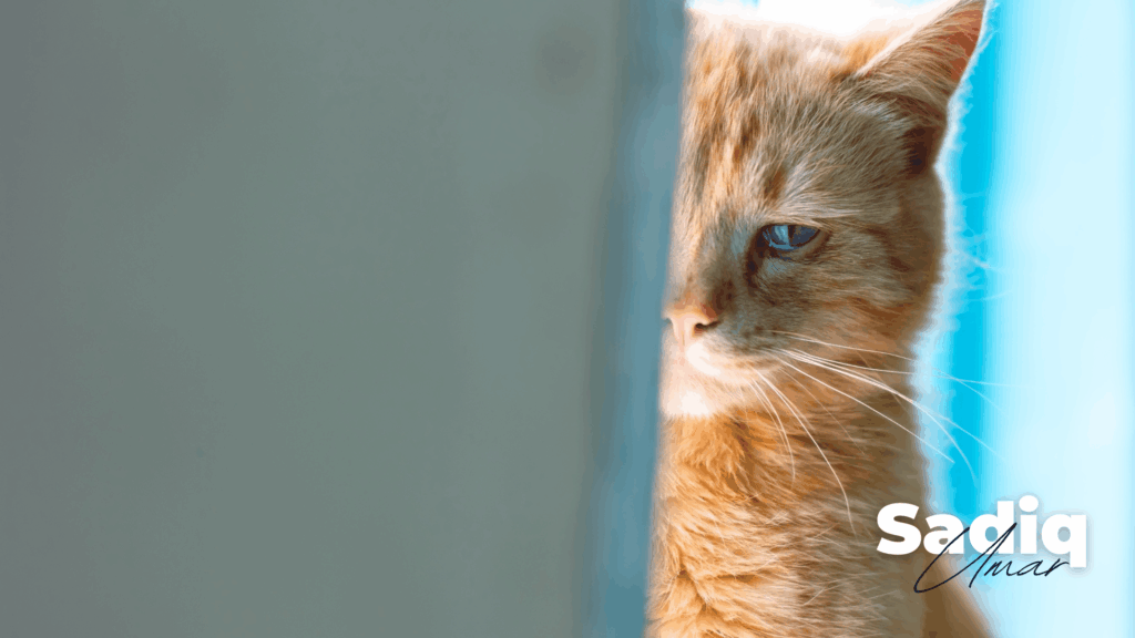 On Envy, Time, and the Work You Don’t See!